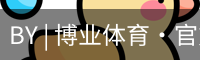 博业体育官网入口